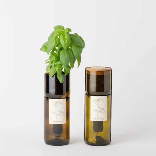 Kit d’aromates bio Life in a Bag pour un amateur de cuisine ou un jardinier débutant