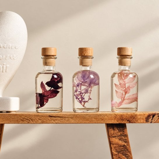 Triptyque de plantes immergées Théophile Berthon dans trois flacons en verre