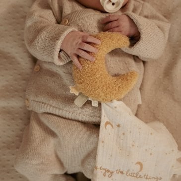 Coffret bébé Little Dutch Newborn Naturals avec trois compagnons tout doux Image 46747