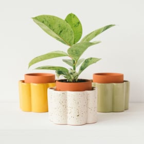 Pot à arrosage autonome