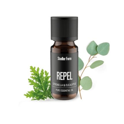 Citronnelle et eucalyptus