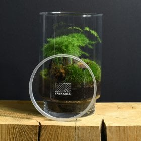 Un terrarium à composer soi-même