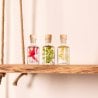 Set de 3 plantes immergées