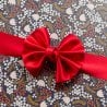 Ruban cadeau satin - Rouge (2,5 m x 2,5 cm)