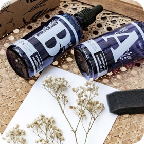 Activités DIY & Plantes