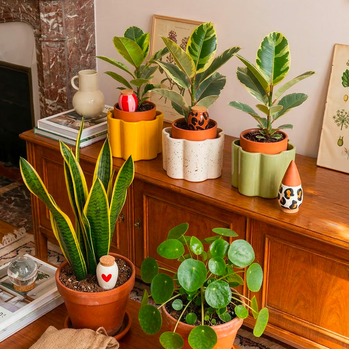 Pépin, le plantsitter des urban jungles
