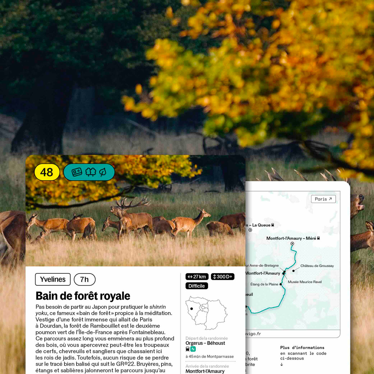 Bain de forêt royale