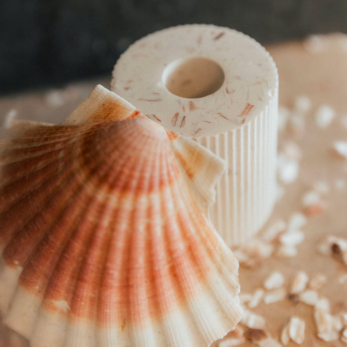 Malàkio, les coquillages côté design