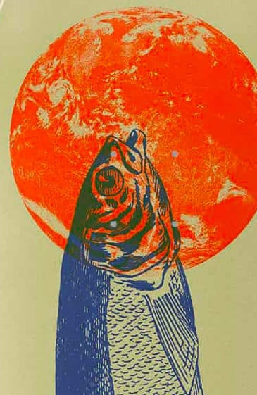 skateboard The Skate Bird Thymallus oeuvre graphique