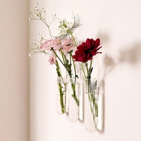 Soliflores magnétiques XL