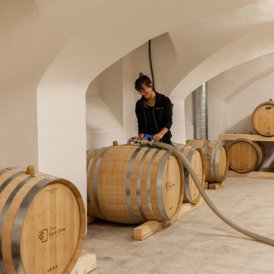 Assembler son vin dans un chai