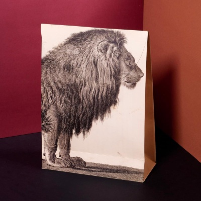 Pochette cadeau - Lion Second image