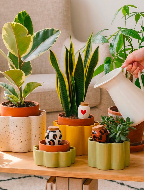 Set de ollas arrosage automatique 