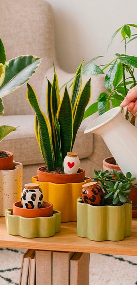 Set de ollas arrosage automatique 