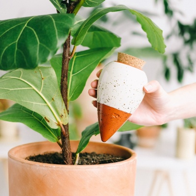 Réservoir d’eau naturel