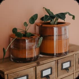 Pot en céramique autonome et plantes en soldes à -60%