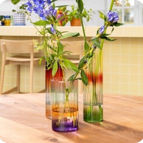 Plantes et loisirs créatifs en soldes jusqu'à -50%