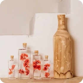 Plantes et loisirs créatifs en soldes jusqu'à -50%